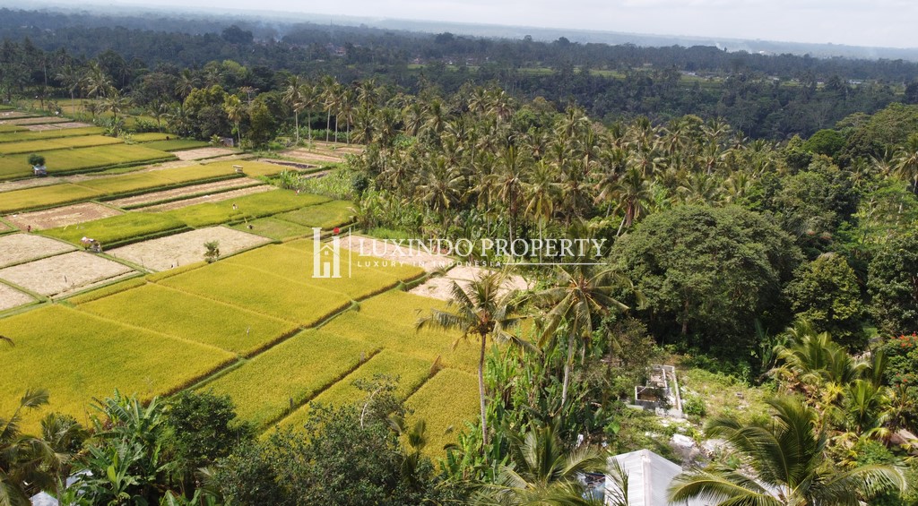 PAYANGAN-9 HECTARE LAND OF MAGNIFICENT NATURE VALLEY VIEW (FHL415)